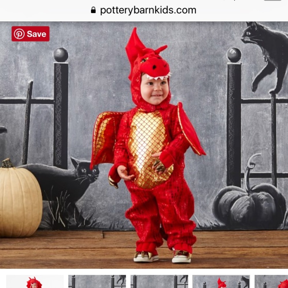 Pottery Barn dragon costume 12-24 mons